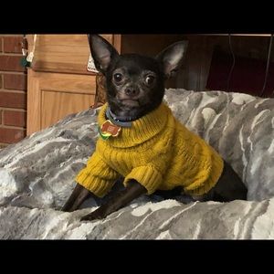 Meet your Posher, Loretta